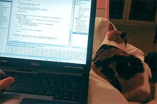 Software Construction in Java
